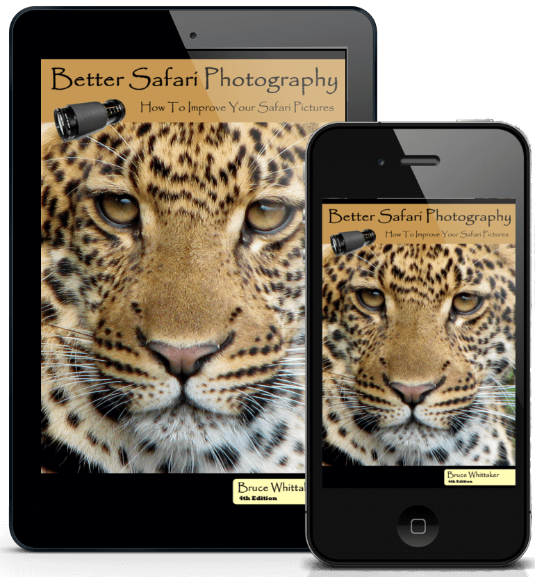 Better Safari Photography Ebook